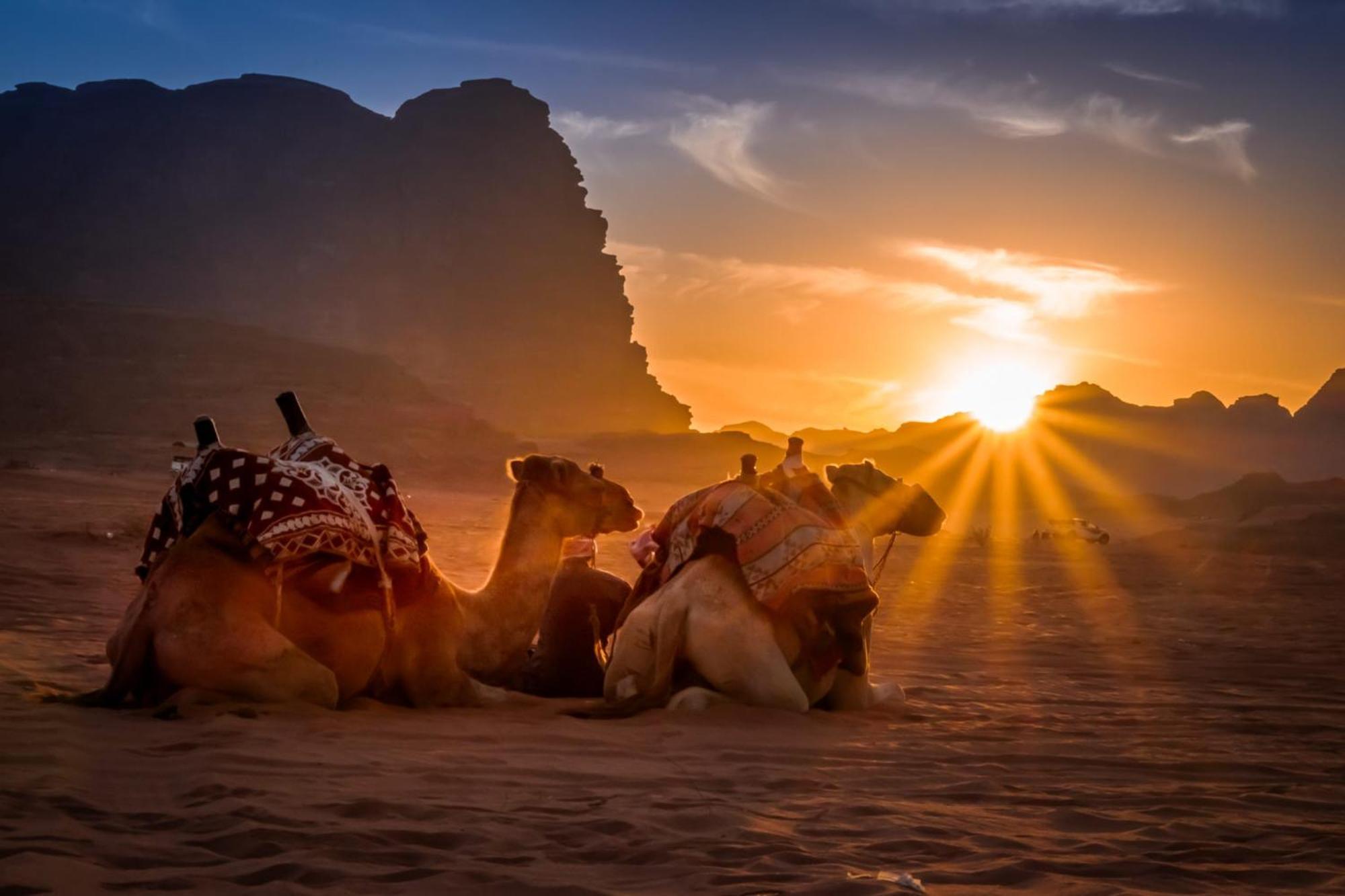 Wadi Rum Caeser Camp Hotel Exterior foto